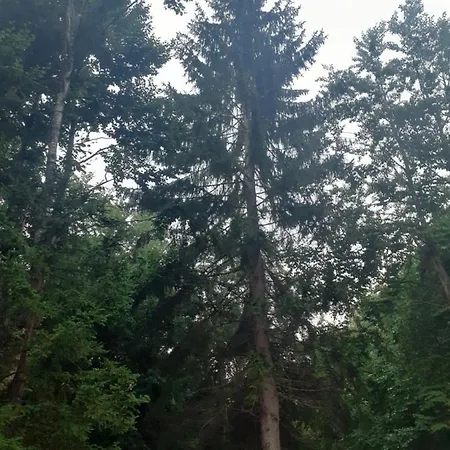 Dioni بيت ضيافة فالبني