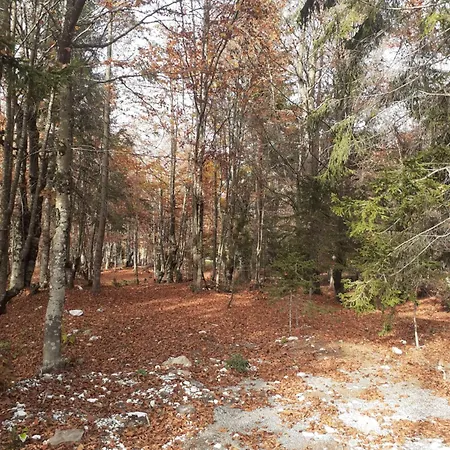 بيت ضيافة Dioni