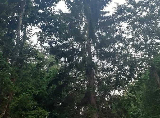 Dioni Gasthof Valbone