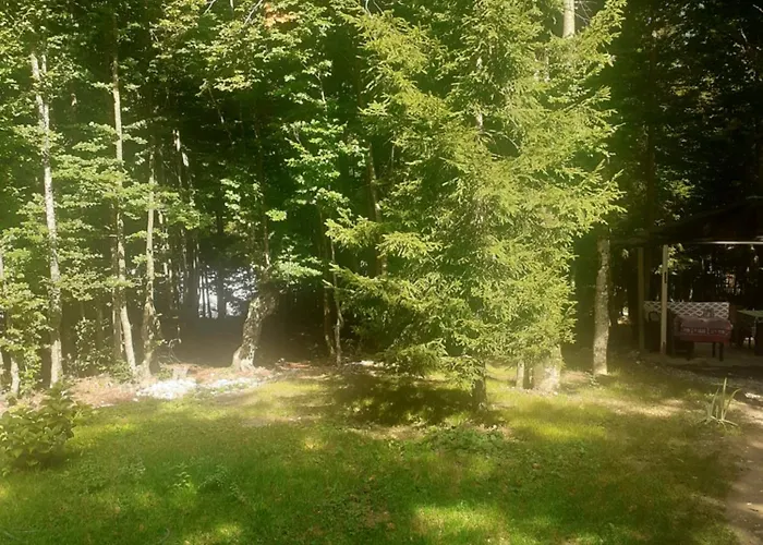 Gasthof Dioni Valbone