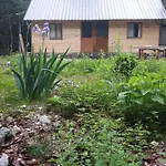 Dioni