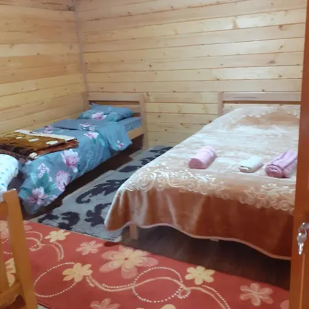 Dioni Guest house *
