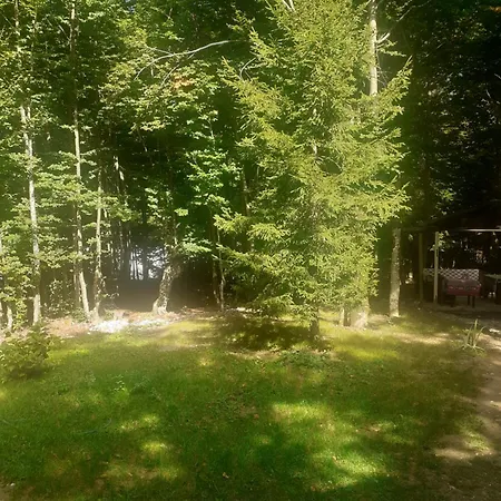 Vendégház Dioni Valbona